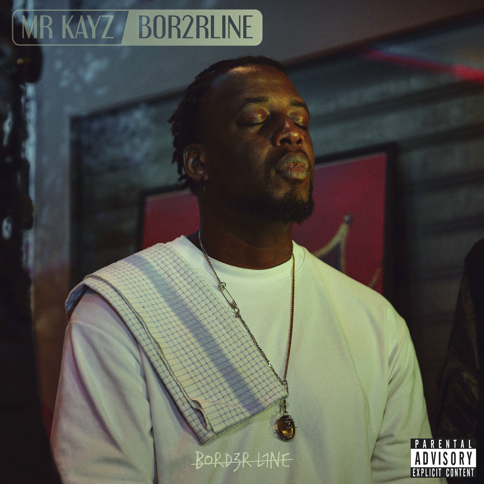 Album cover of BOR2RLINE