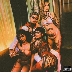 Cover of Fã