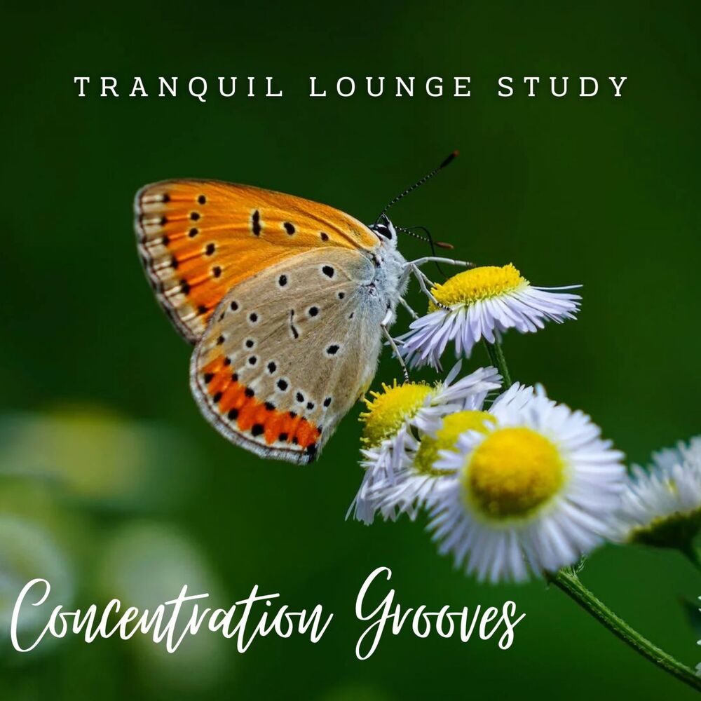 Picture of Jazz Oasis: Concentration Grooves