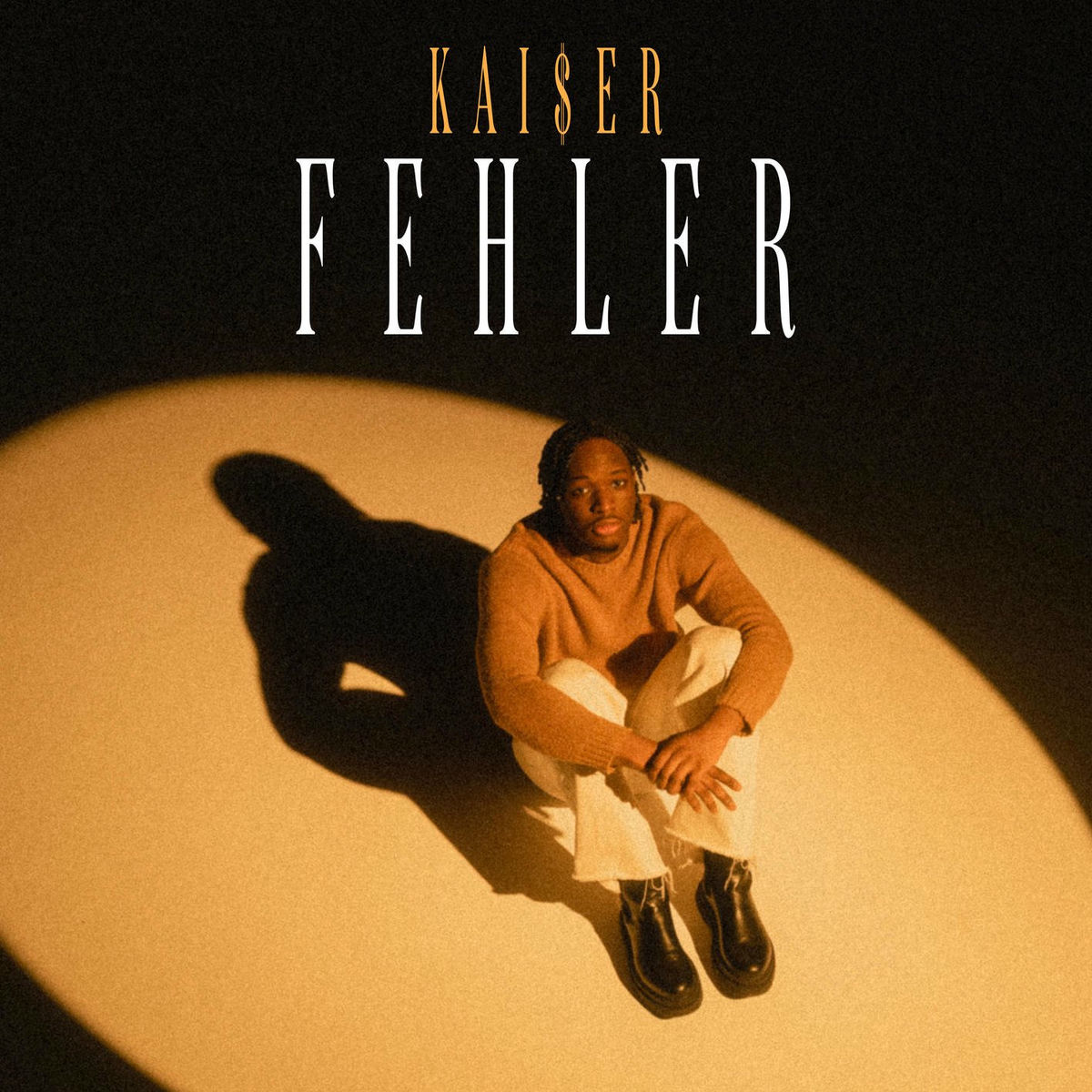 Album cover of Fehler