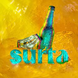 Cover of Surta