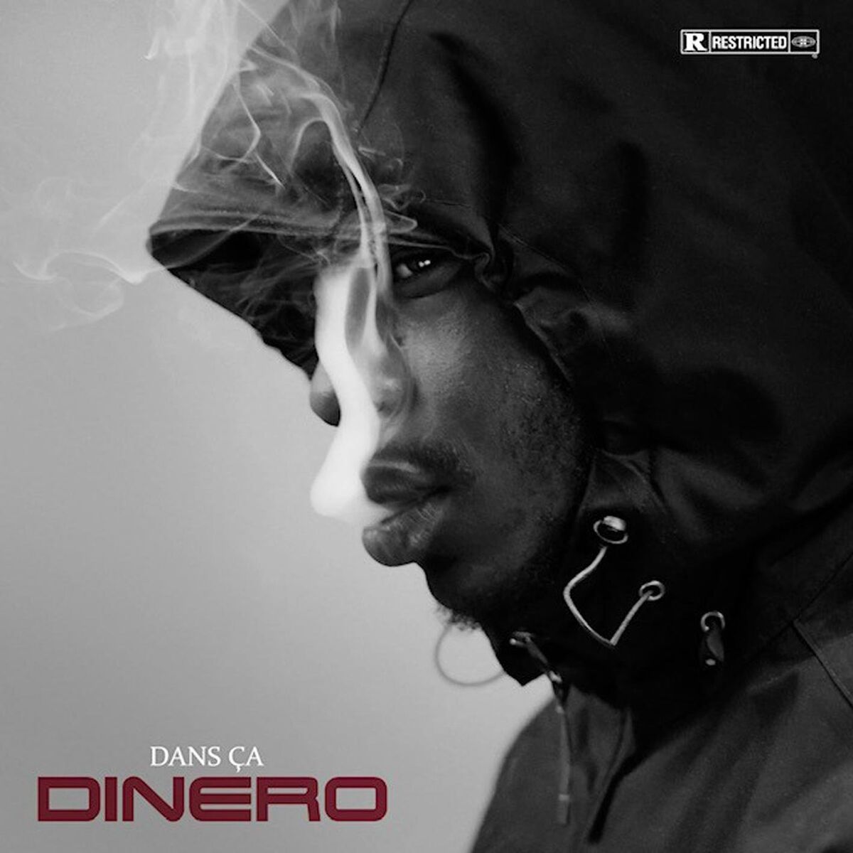 Album cover of Dans ça