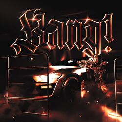 Cover of BANG!