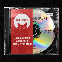 Cover of Storm / The Haunt