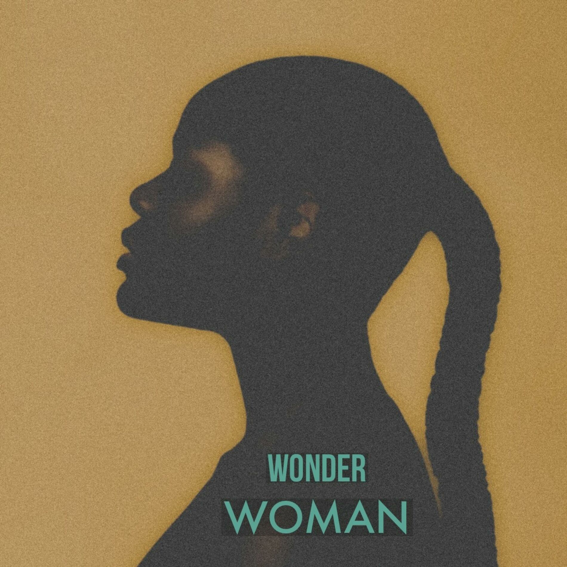 Album cover of Wonder Woman