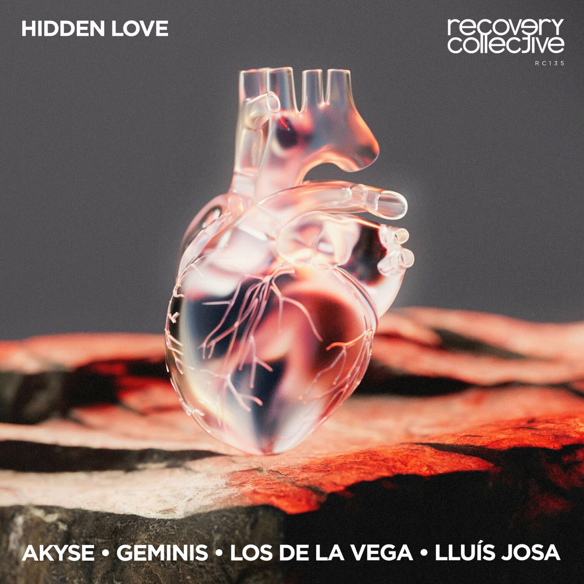 Album cover of Hidden Love