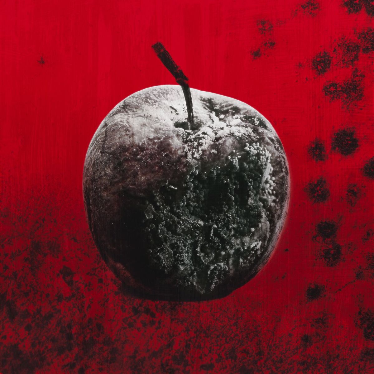 Album cover of Black Mold