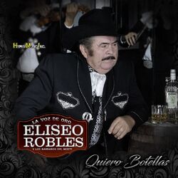 Cover of Quiero Botellas