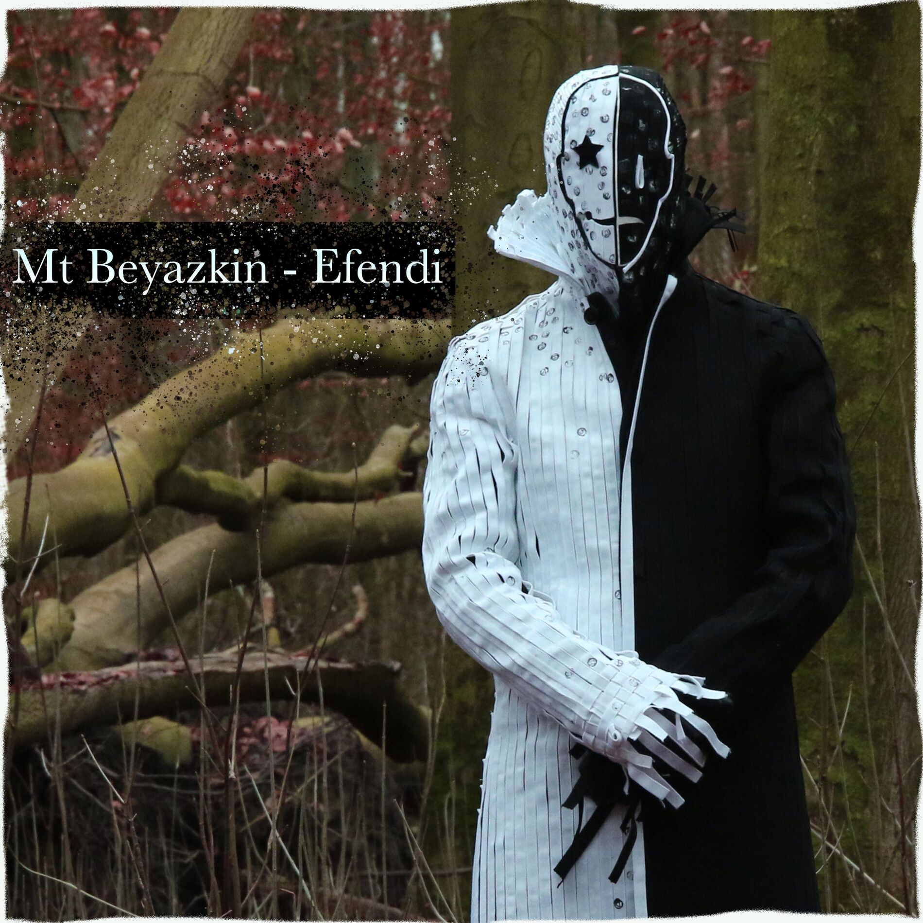 Album cover of Efendi