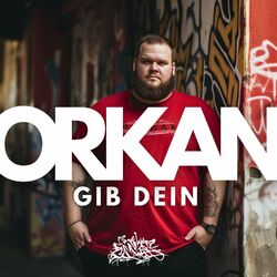 Cover of Gib Dein