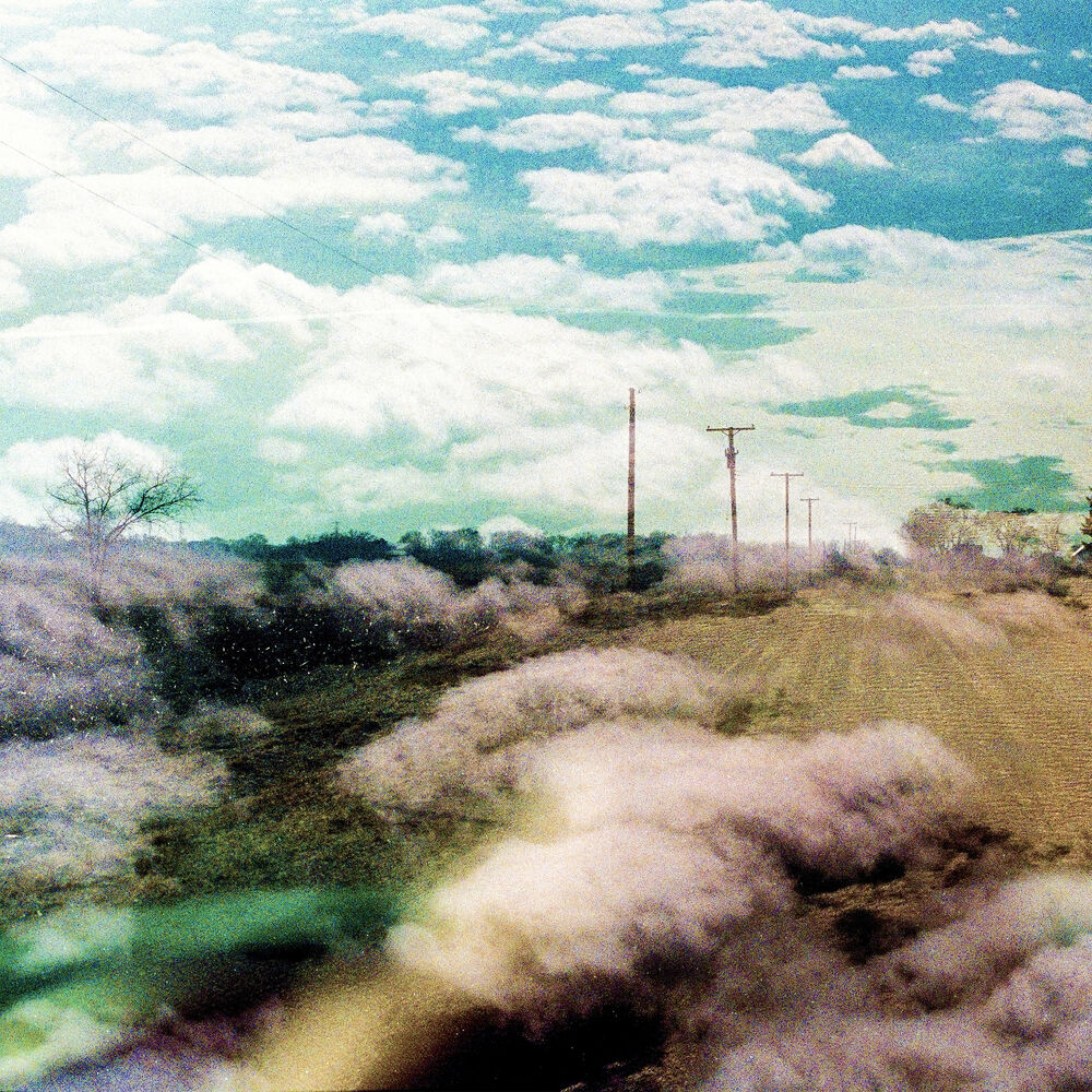 Picture of Always Foreign