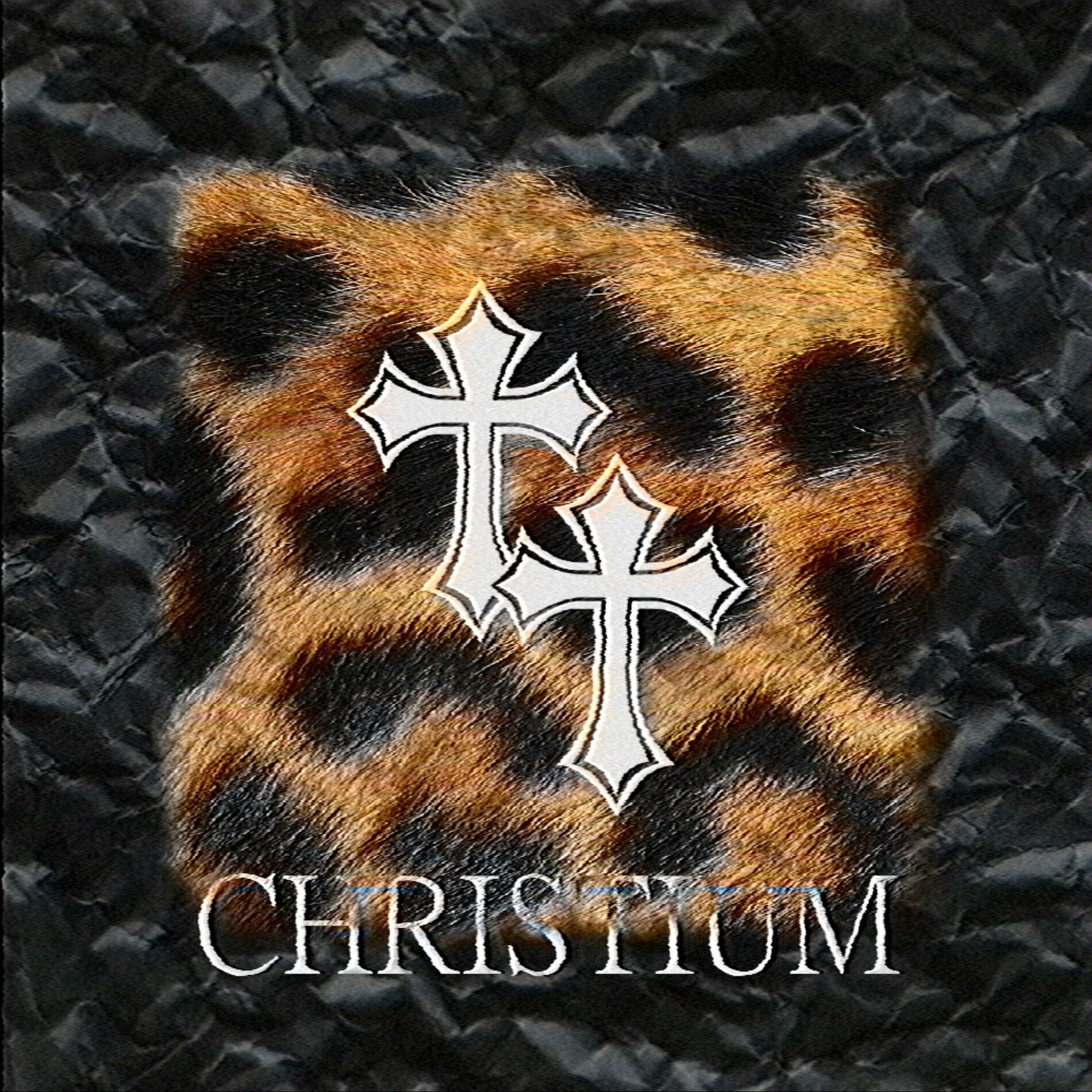 Album cover of CHRISTIUM 2