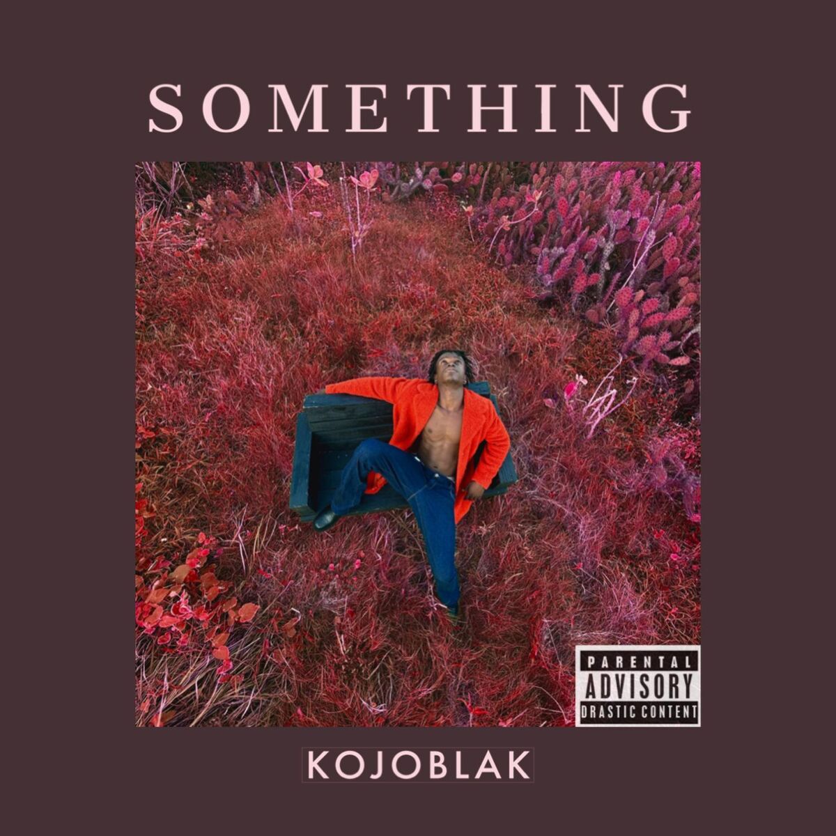 Album cover of Something