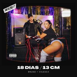 Cover of 18 dias / 13 cm