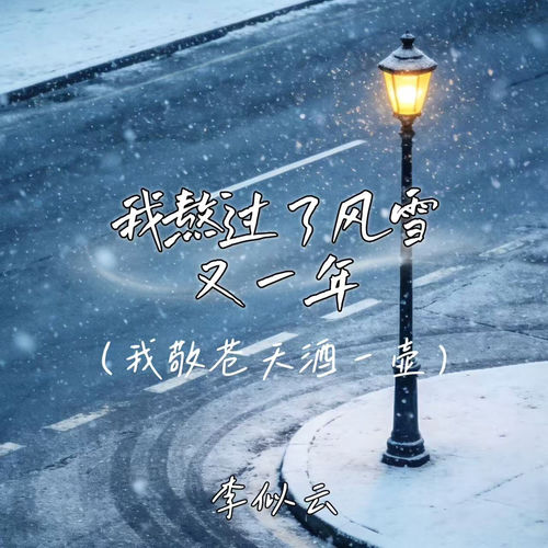 我熬过了风雪又一年 (我敬苍天酒一壶)