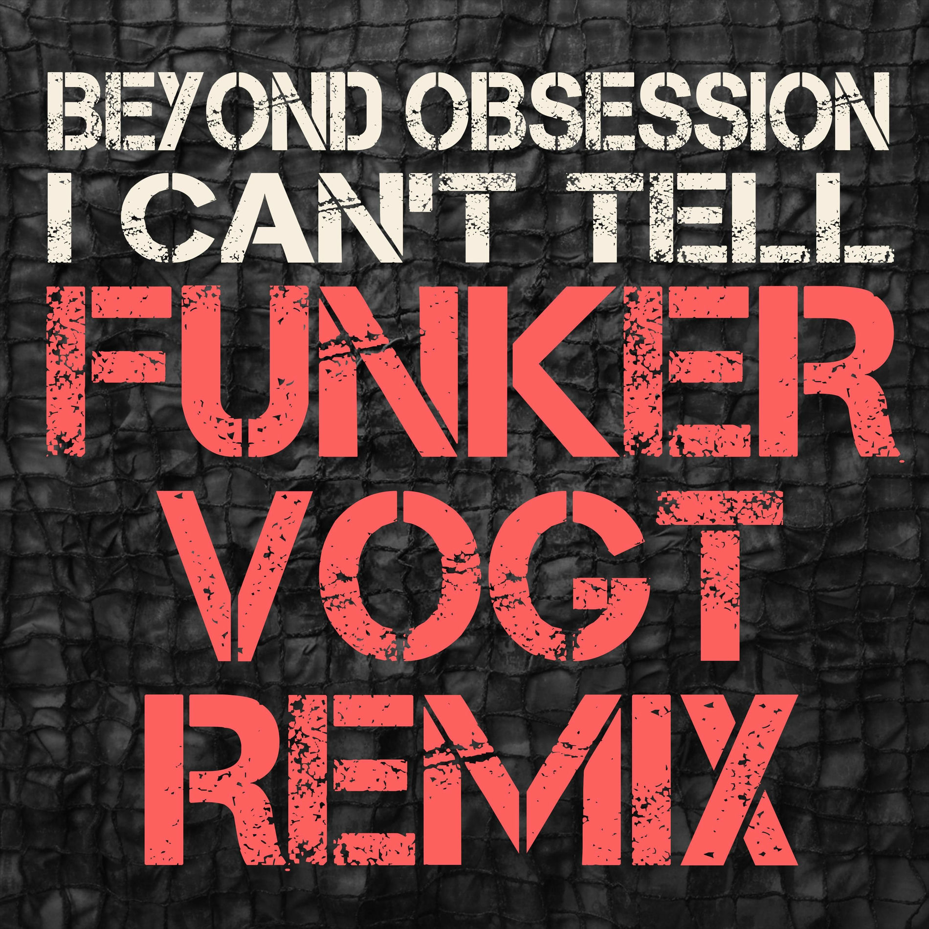 Album cover of I can't tell (Funker Vogt Remix)