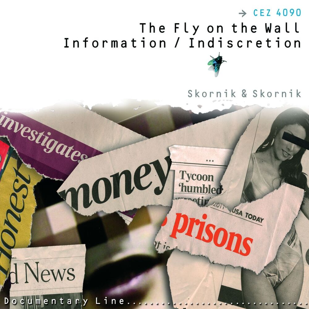 Picture of Skornik & Skornik: The Fly On the Wall (Information / Indiscretion)