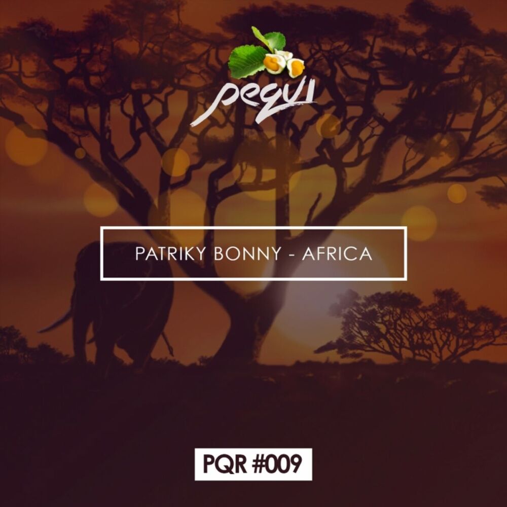 Picture of Patriky Bonny - Africa ( Original Mix )