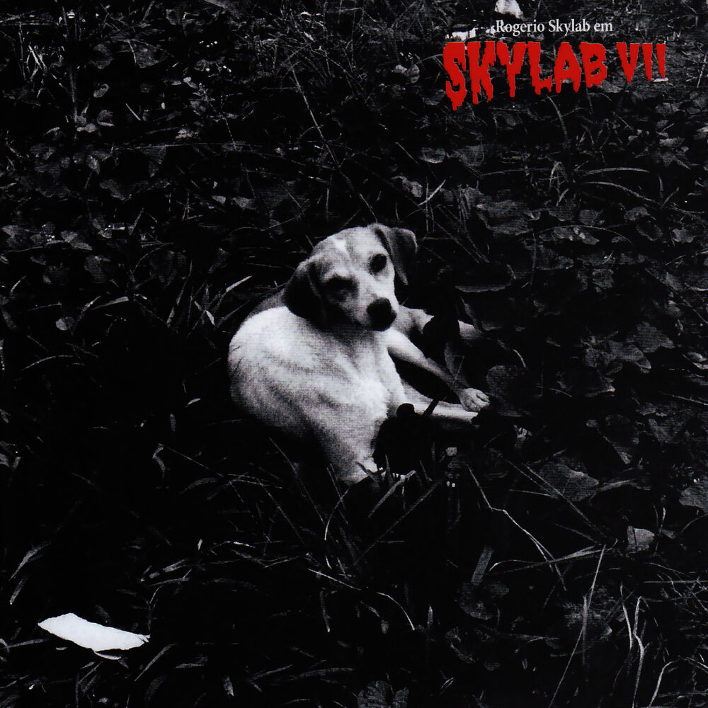 Picture of Skylab VII