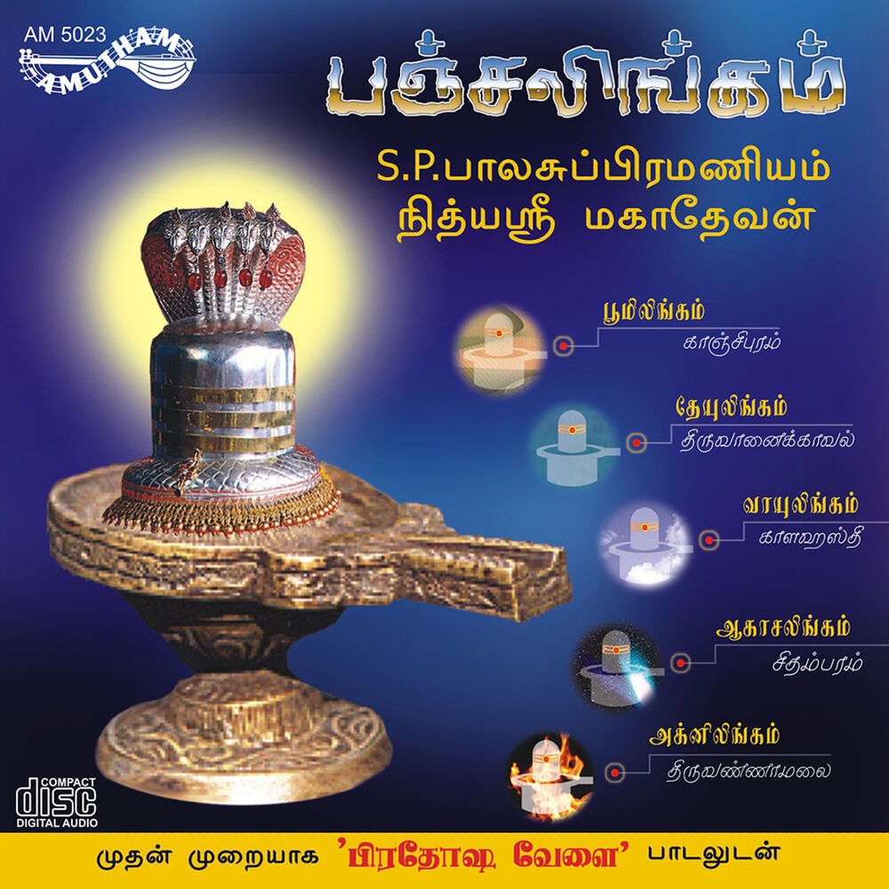 Picture of Panchalingam