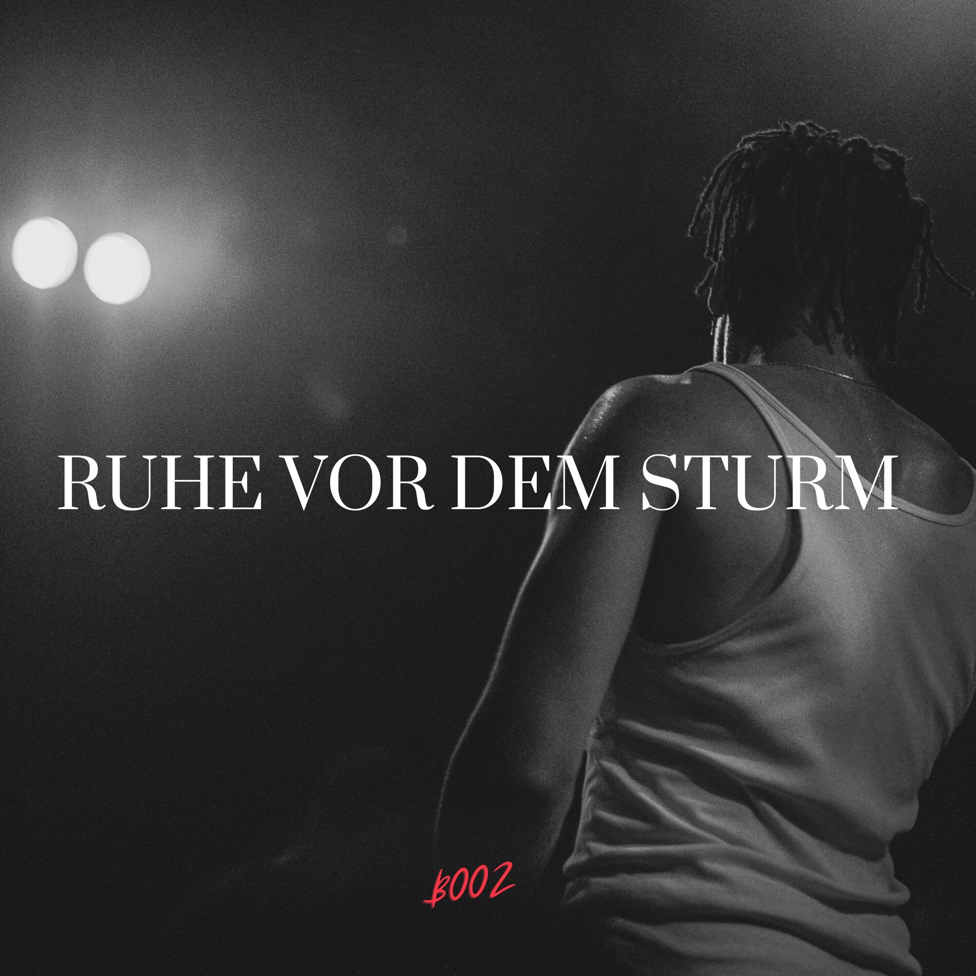 Album cover of RUHE VOR DEM STURM