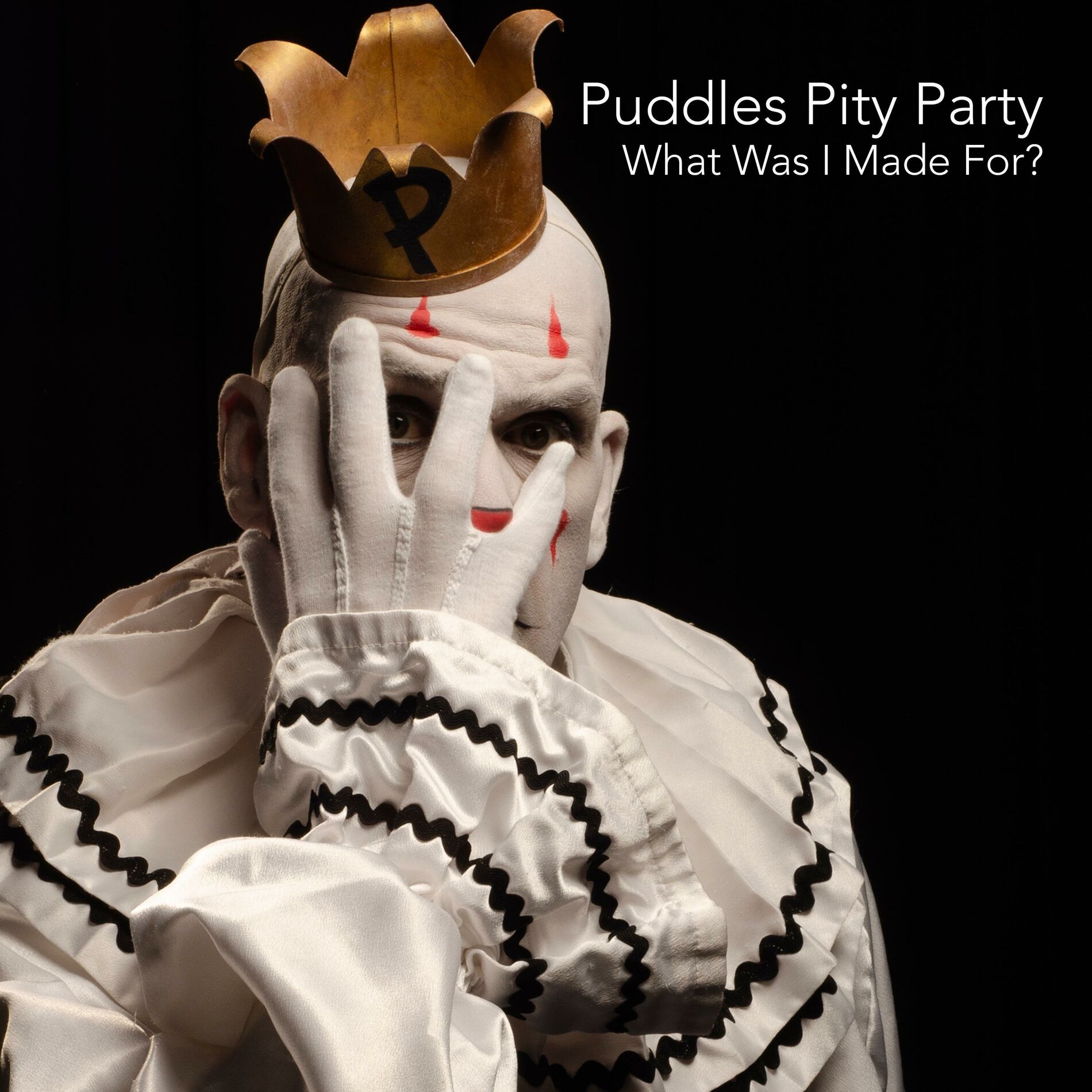 Album cover of What Was I Made For?