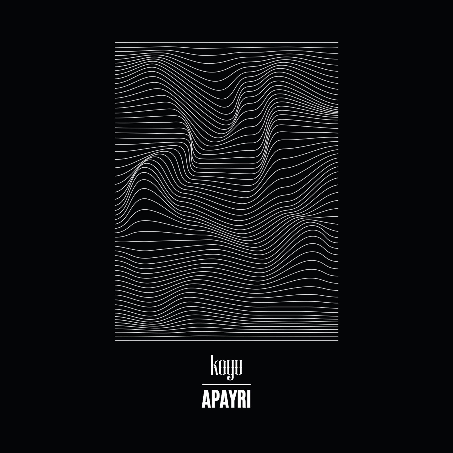 Album cover of Apayrı