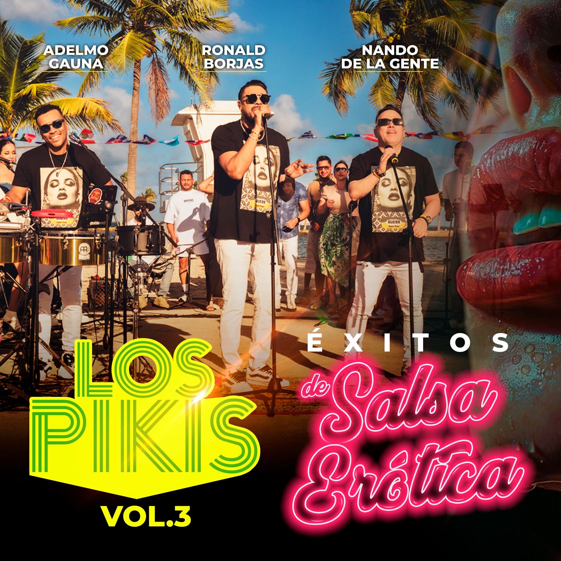 Album cover of Los Pikis Exitos de Salsa Erótica, Vol.3