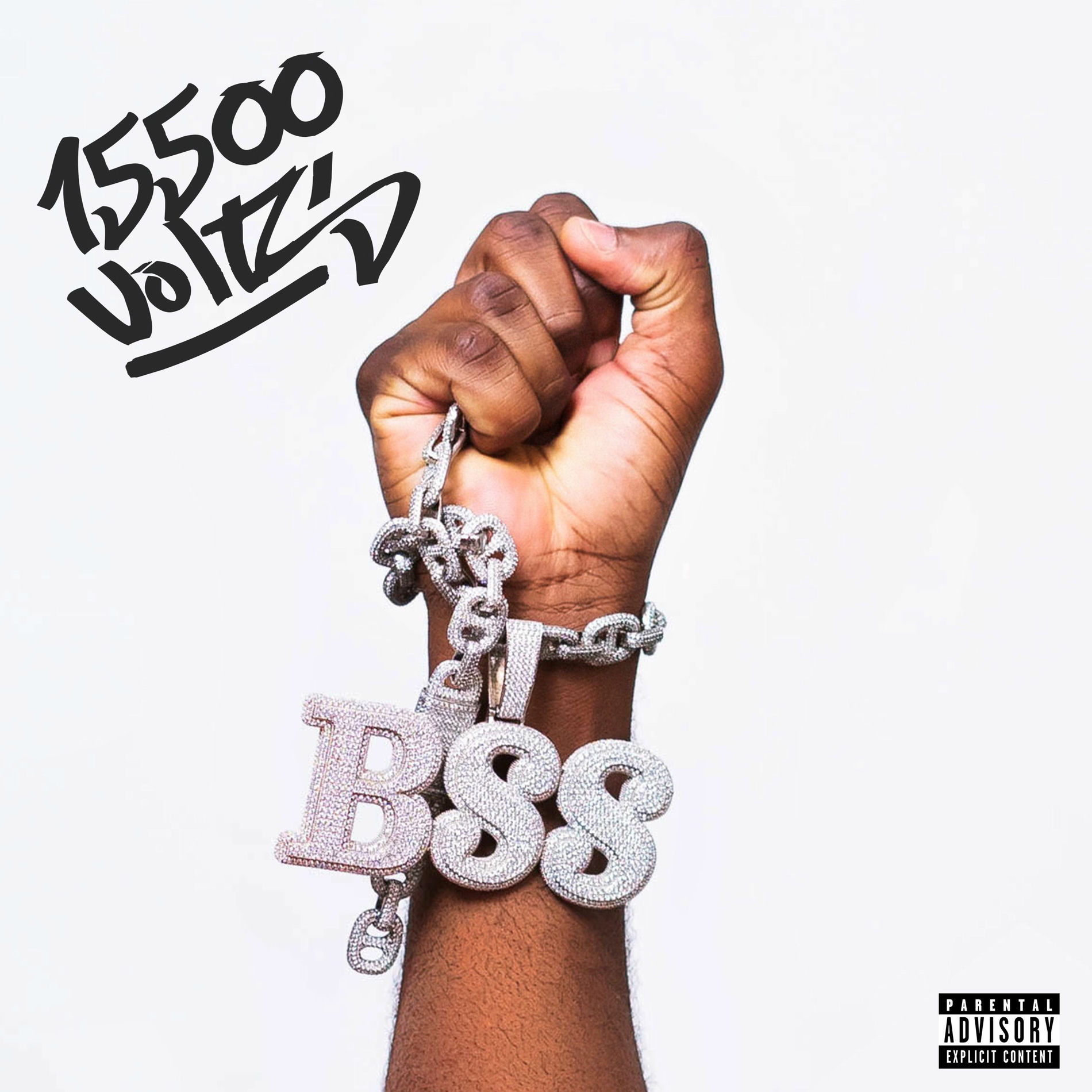 Album cover of 15500 Volts