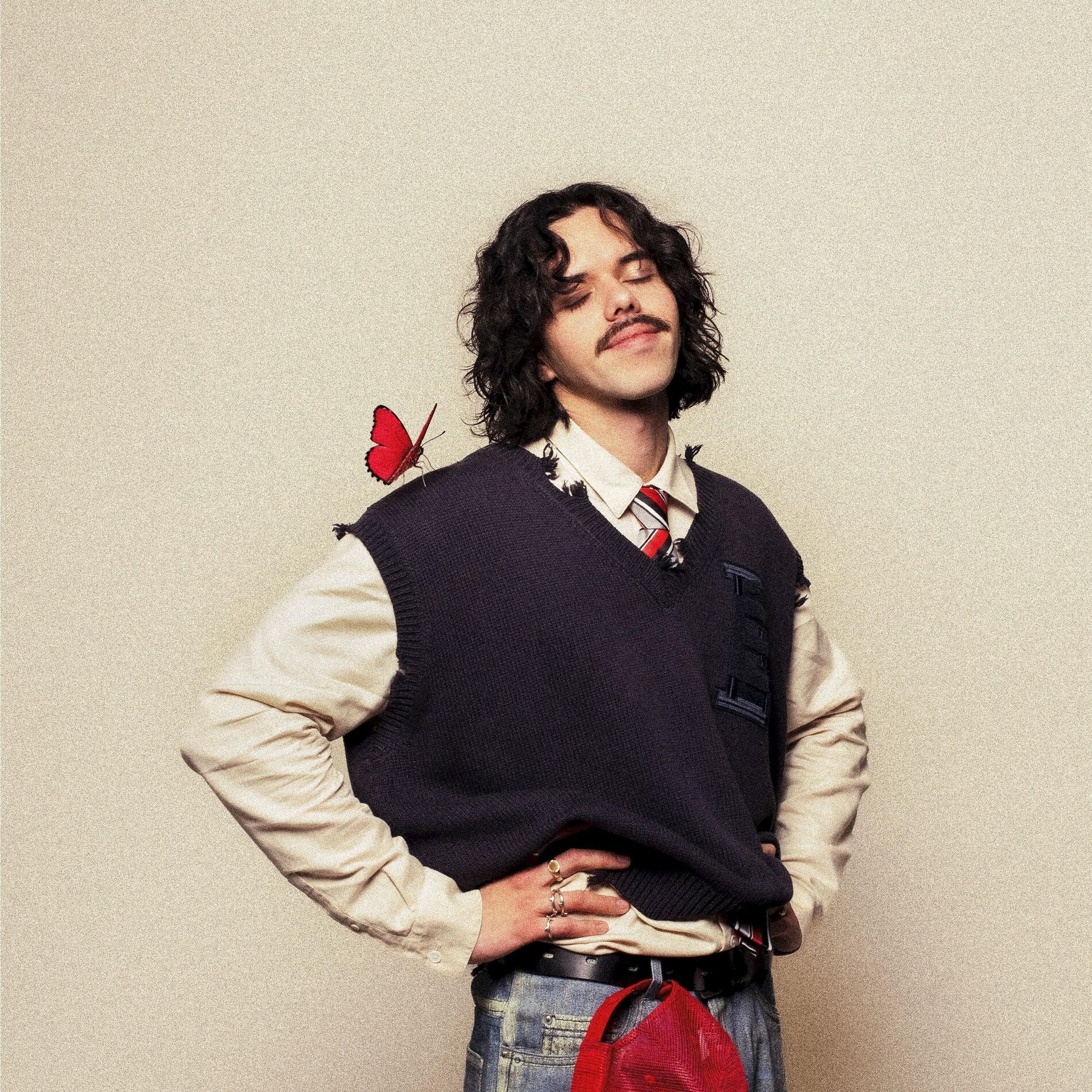 Album cover of Pas d'amour