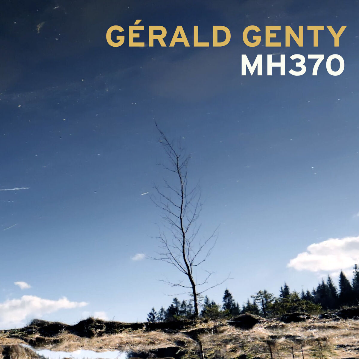 Album cover of MH370