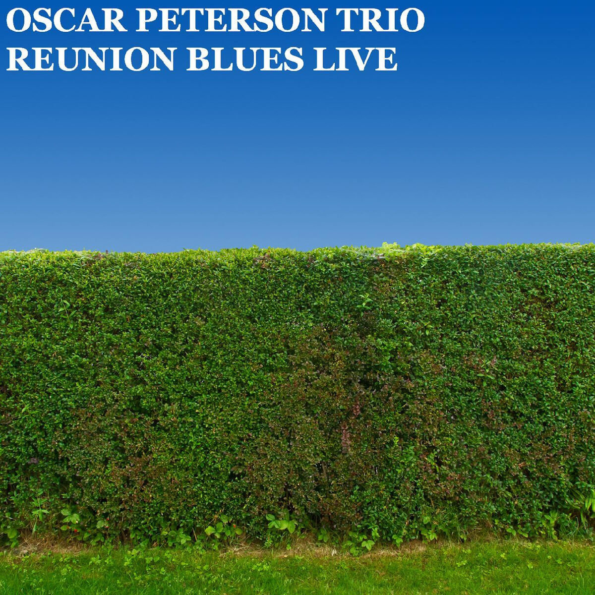 Album cover of Reunion Blues Live