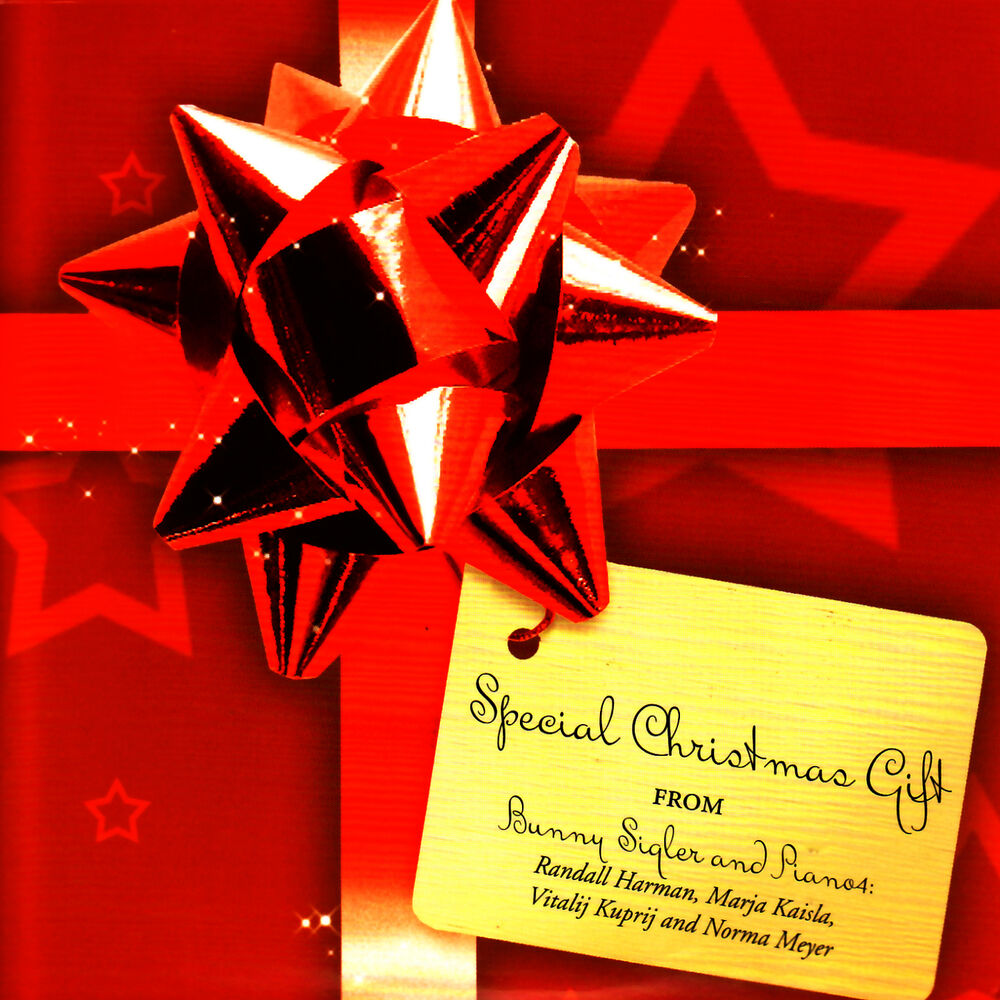 Picture of Special Christmas Gift