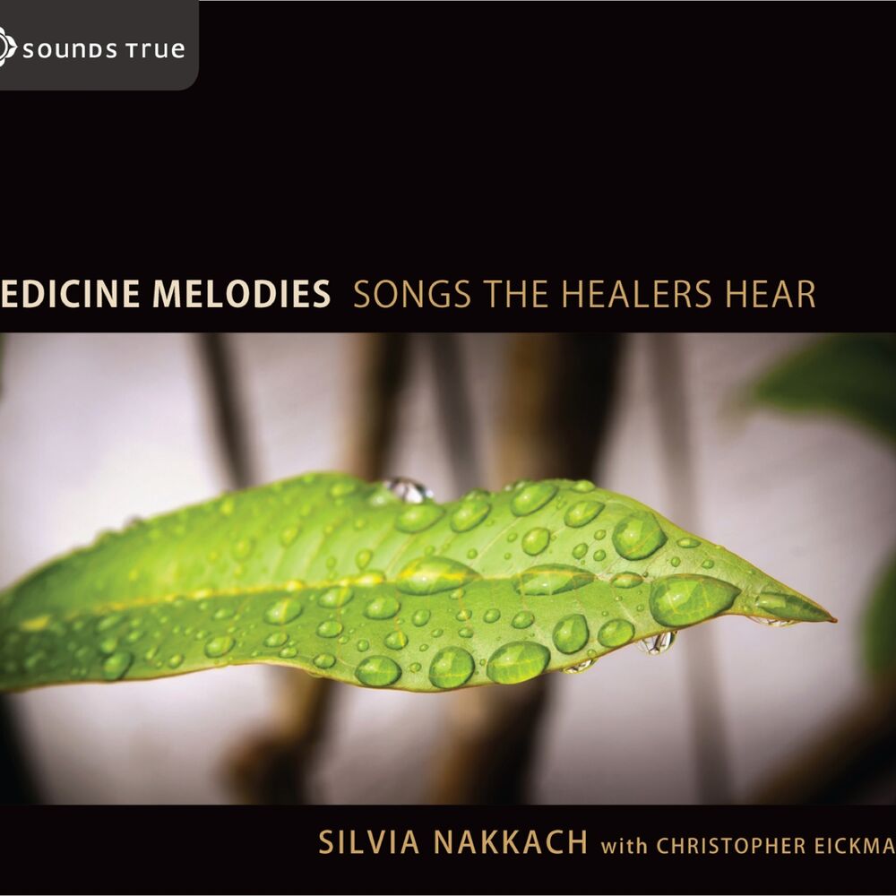 Picture of Medicine Melodies Songs The Healers Hear