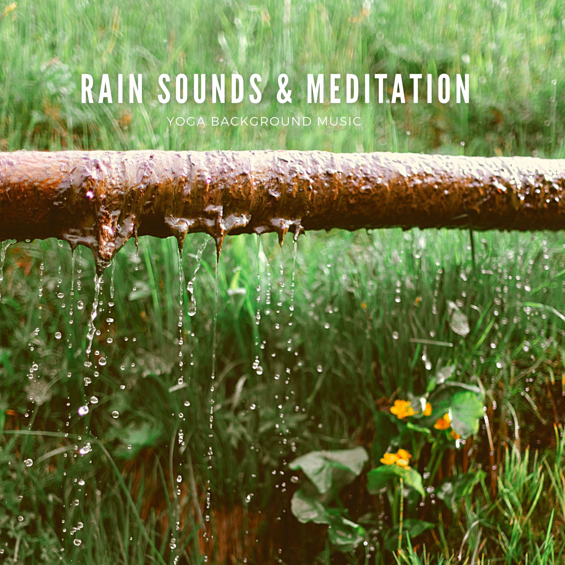 Album picture of Rain Sounds & Meditation