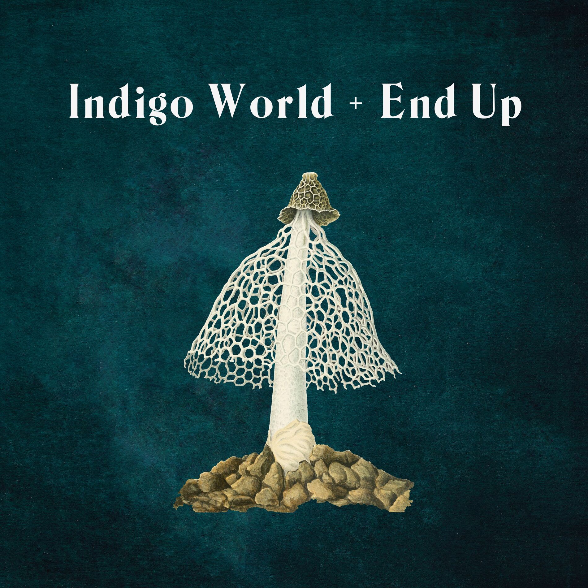 Album cover of Indigo World / End Up