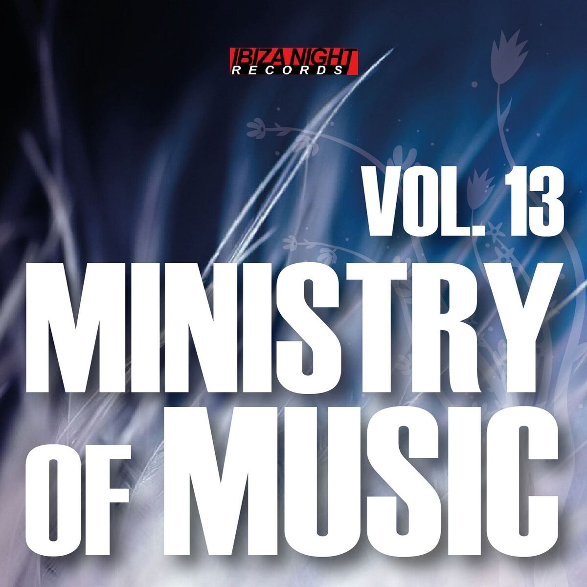 Album cover of Ministry of Music, Vol. 13