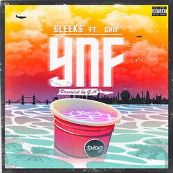 Cover of YNF