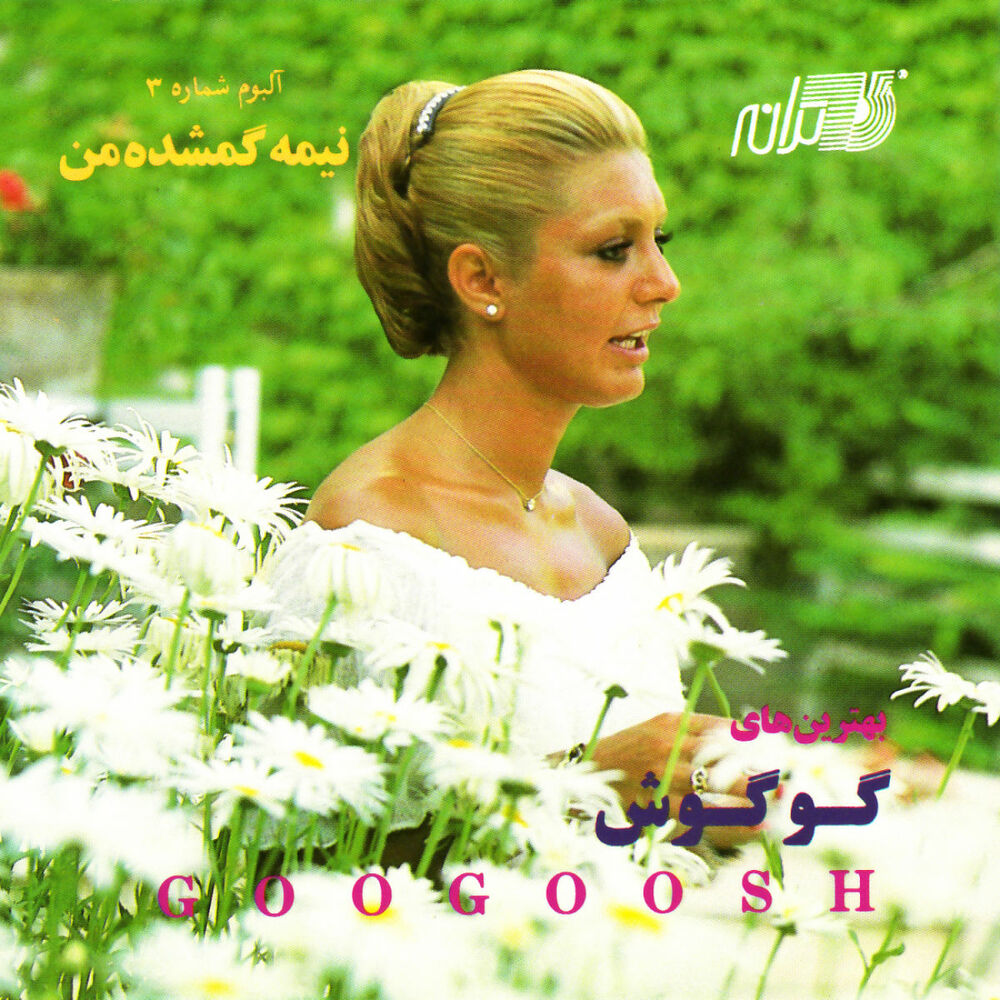 Picture of Nimeh Gomshodeh Man
