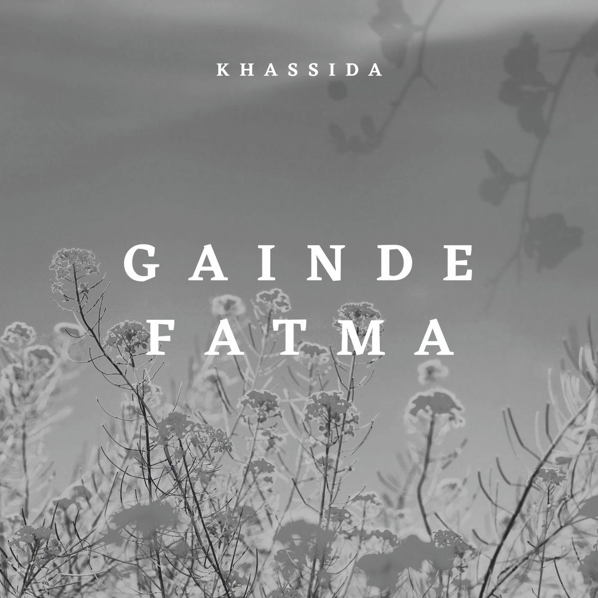 Album cover of Gainde Fatma