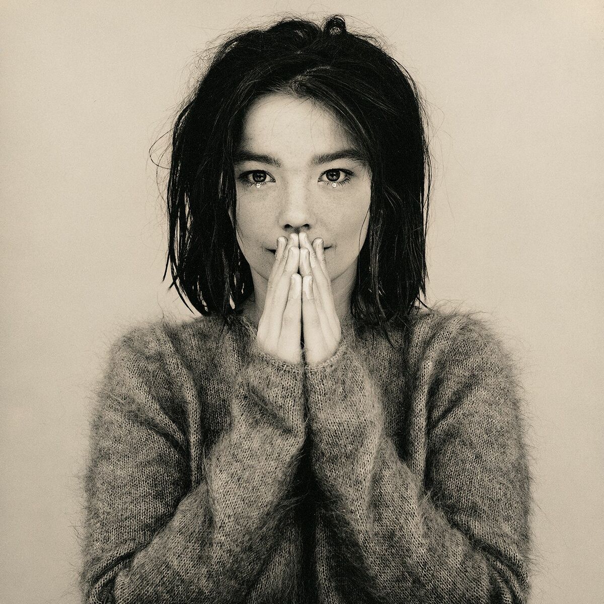 ビョーク Bjork THE ILLUSTRATED STORY ポールレスター ビョーク Bjork THE ILLUSTRATED STORY ポールレスター