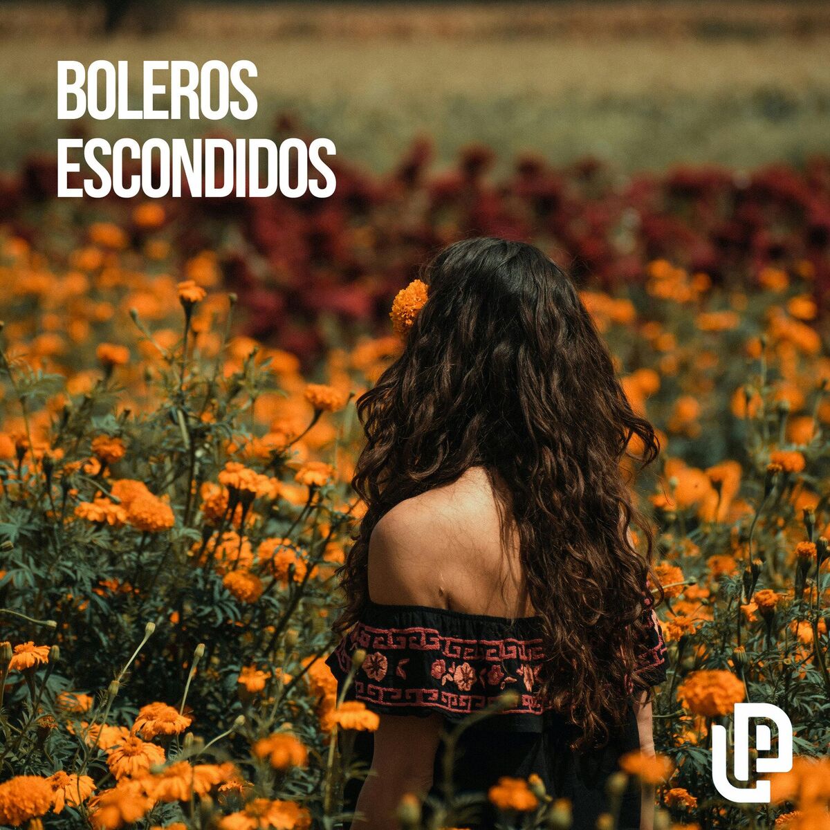 Album cover of Boleros Escondidos
