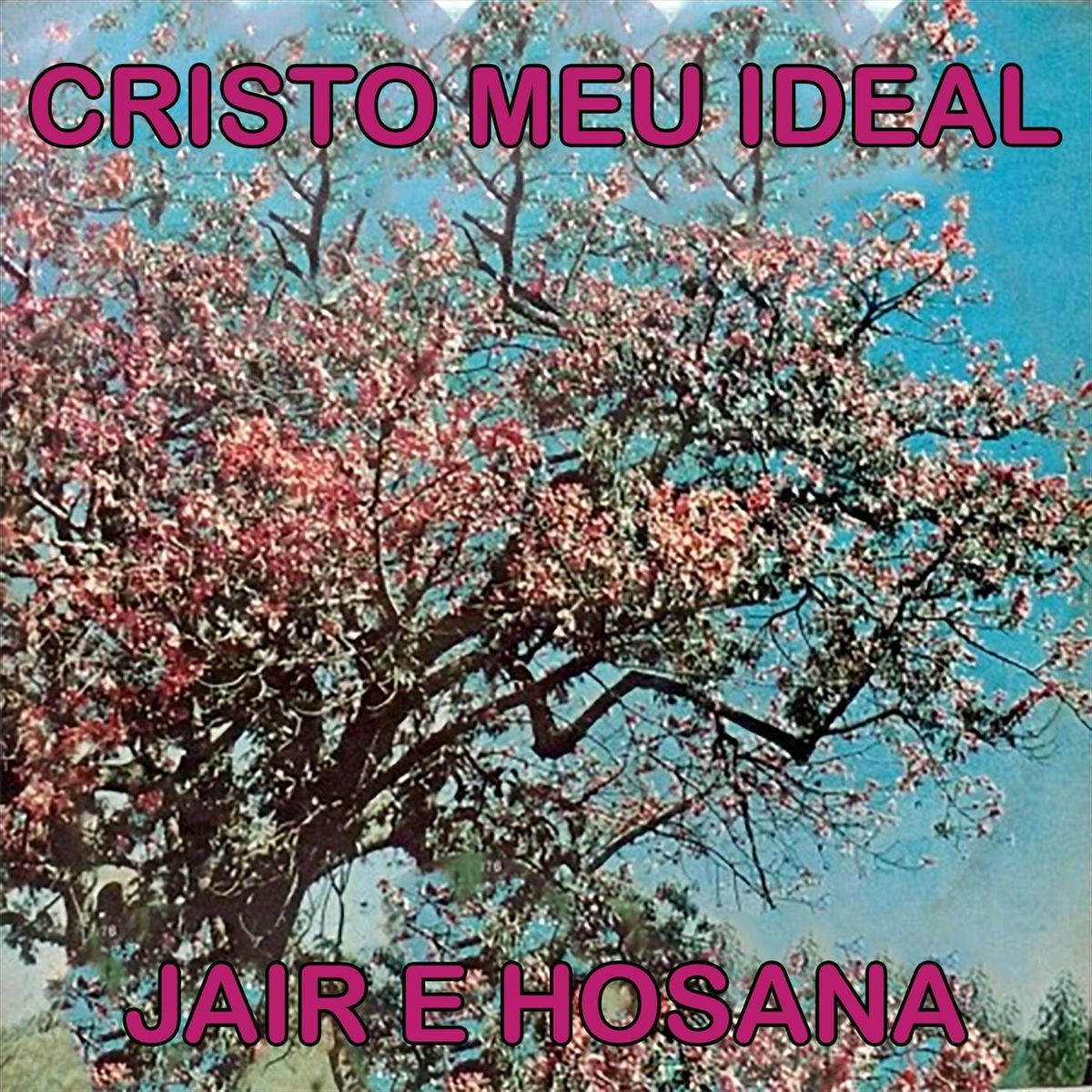 Album cover of Cristo Meu Ideal