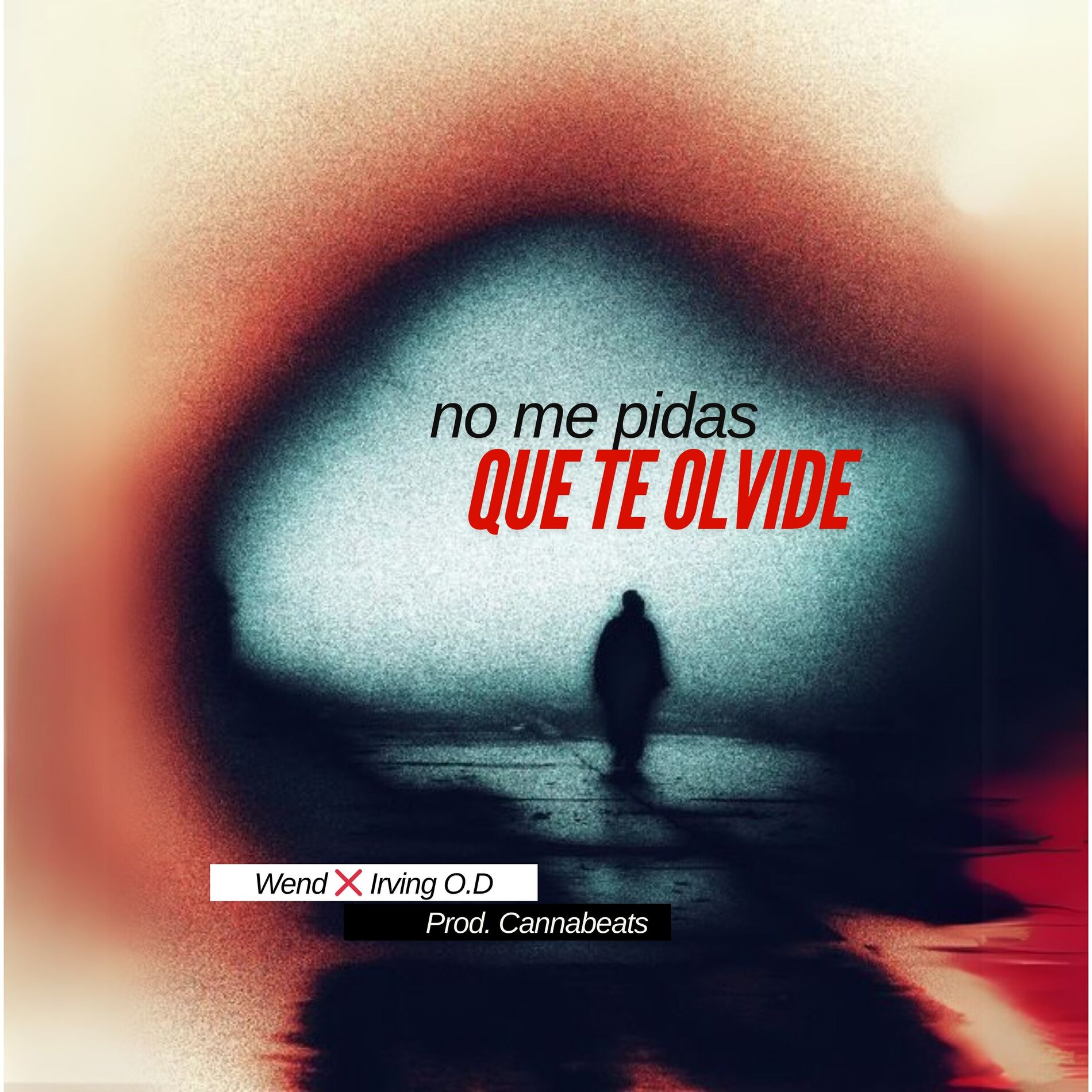 Album cover of No Me Pidas Que Te Olvide