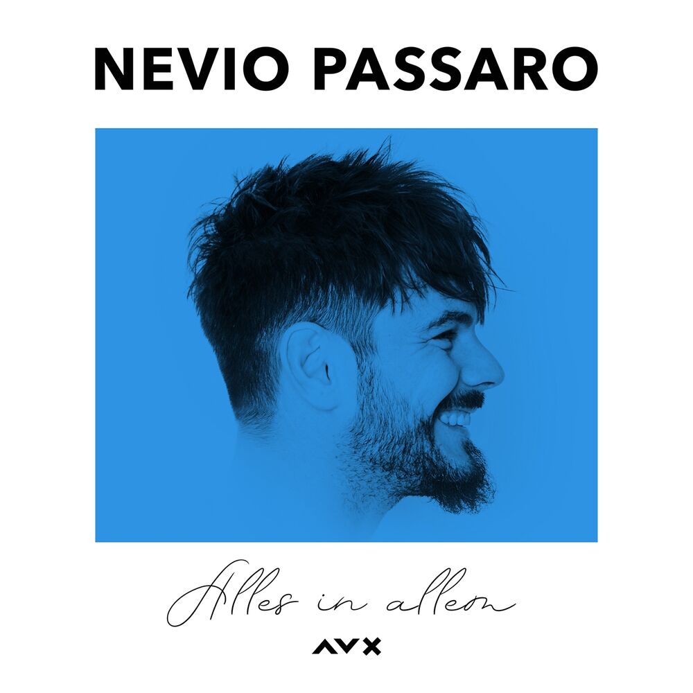 Picture of Alles in allem (Acoustic)