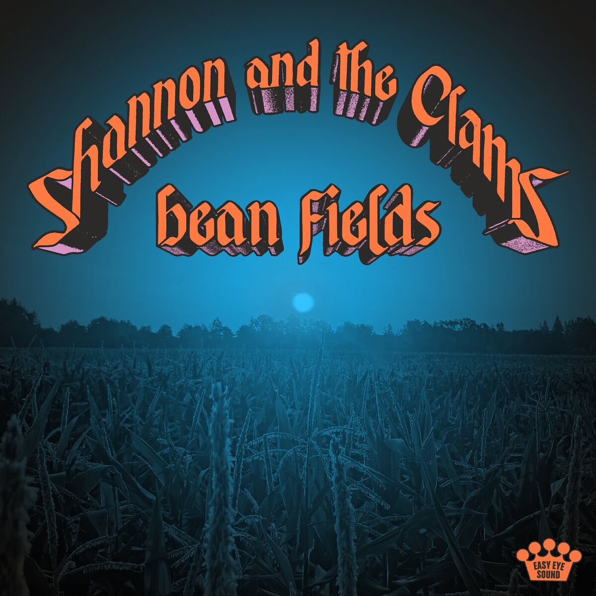 Album cover of Bean Fields