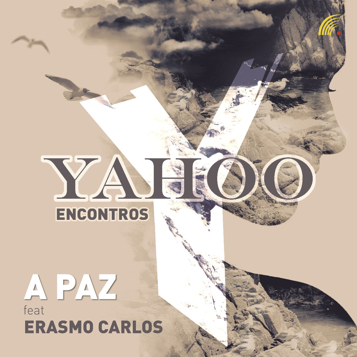 Album cover of A Paz