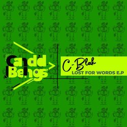 Cover of Lost For Words E.P