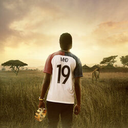 Cover of 19