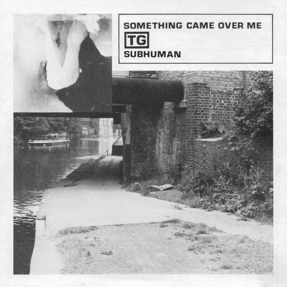 Picture of Subhuman / Something Came Over Me